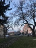 Park8